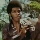 Ron Van Clief in Black Dragon's Revenge (YouTube)